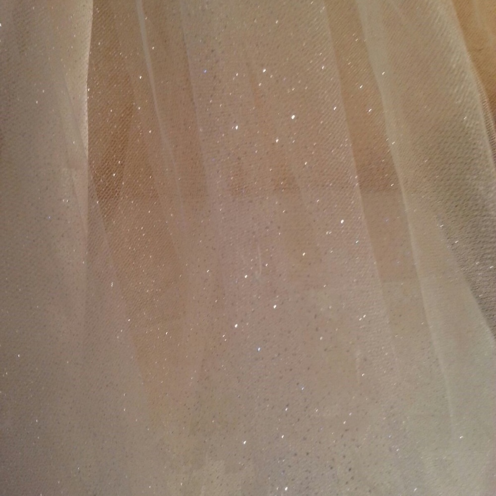 Lady Rose Ivory Lace Tulle  Backless Ballgown - Picture 7 of 8
